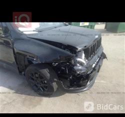 جيب رينيجيد